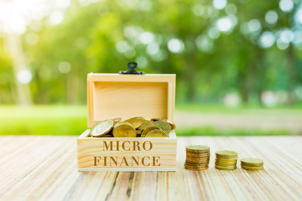 Microfinance Loans: Empowering Entrepreneurs and Promoting Financial Inclusion